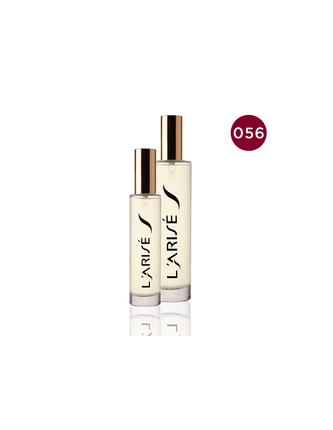 Dolce & Gabbana Dolce & Gabbana pour Femme